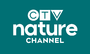 CTV Nature